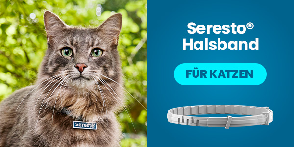 Kompakte Dosis, großer Schutz – Schirmen Sie Ihre Katze vor Parasiten ab.